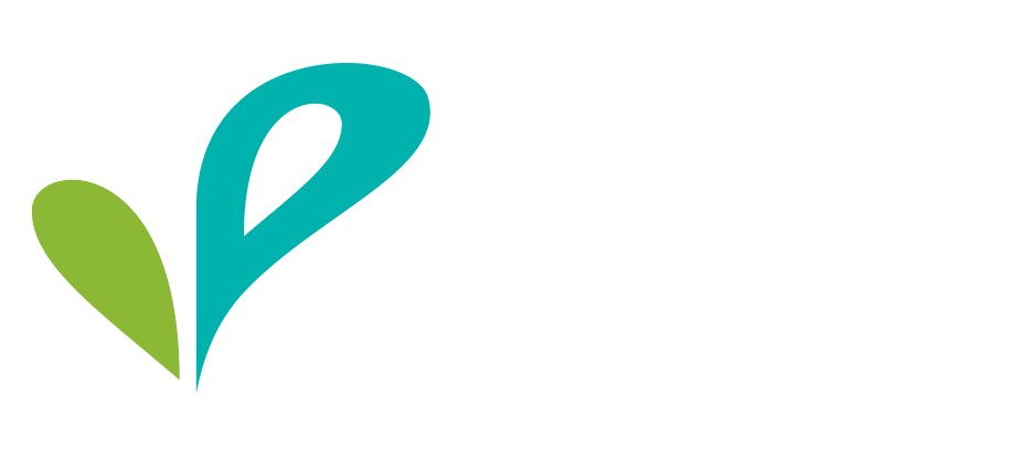 logo Webinfirmière